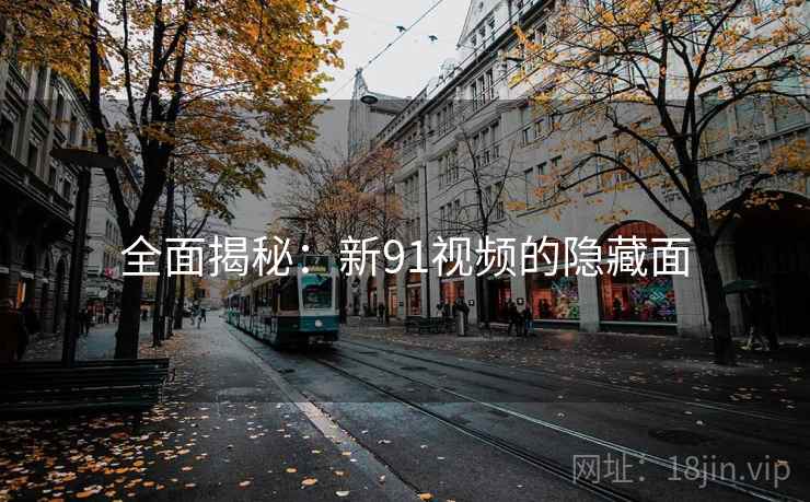 全面揭秘：新91视频的隐藏面  第1张