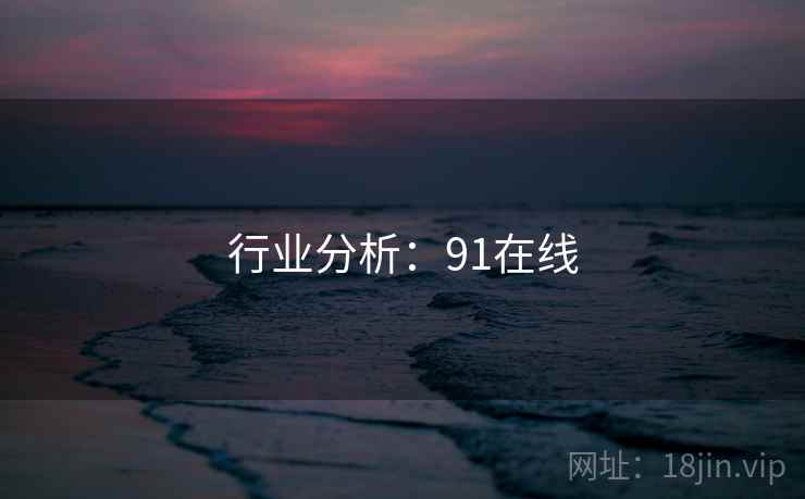 行业分析：91在线