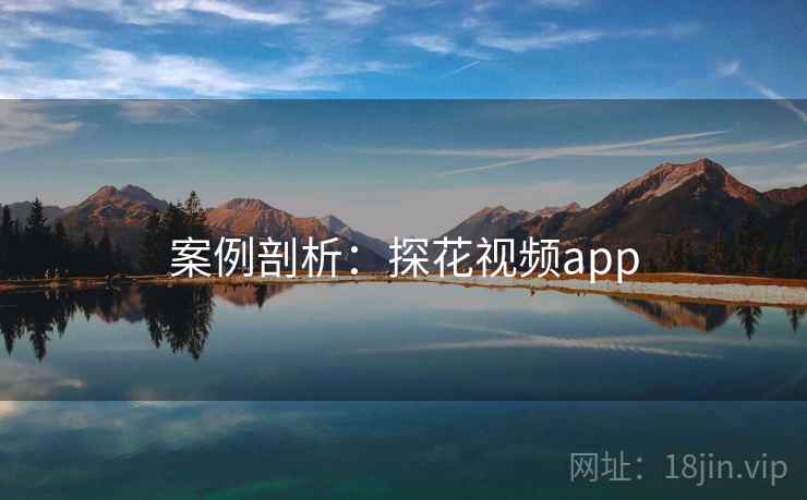 案例剖析：探花视频app