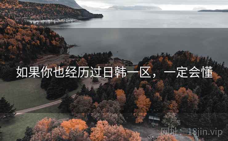 如果你也经历过日韩一区，一定会懂